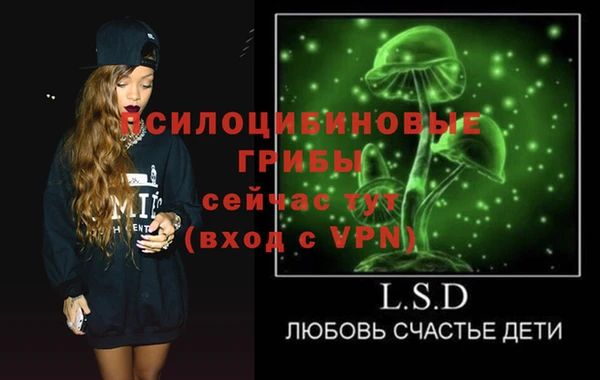 шишки Алзамай